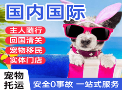 海西德令哈航空货运国际宠物托运 【国